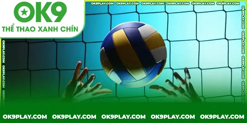 Quy tắc về cách tính điểm trong cá cược bóng chuyền OK9